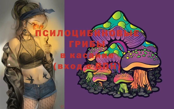 ALPHA PVP Армянск