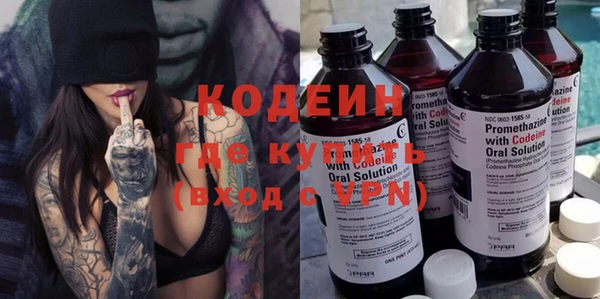 хмурый Аркадак