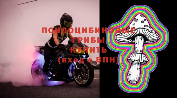 прущие грибы Богородицк