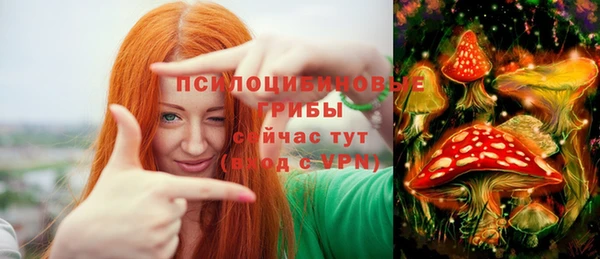 прущие грибы Богородицк