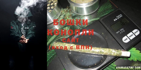 хмурый Аркадак