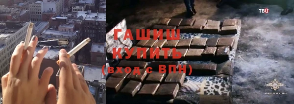 хмурый Аркадак