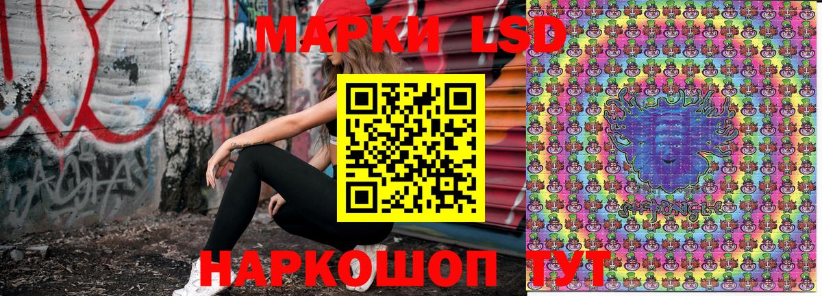 как найти   Марки NBOMe 1,5мг  Вход с VPN  Марки NBOMe 1,5мг  Пятигорск 