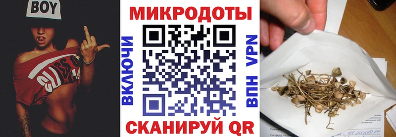 Псилоцибиновые грибы Psilocybe  Пятигорск 